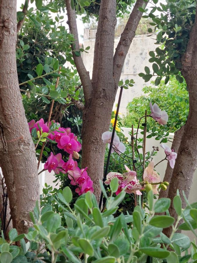 Appartamento Casa D' Avo Zeza Jardim do Mar Esterno foto