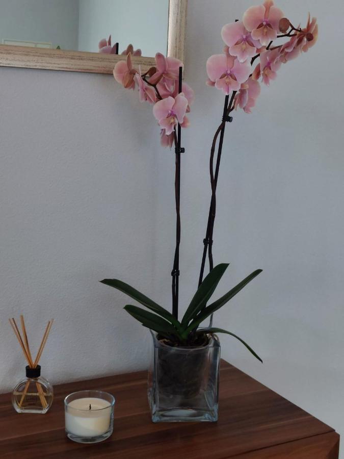 Appartamento Casa D' Avo Zeza Jardim do Mar Esterno foto